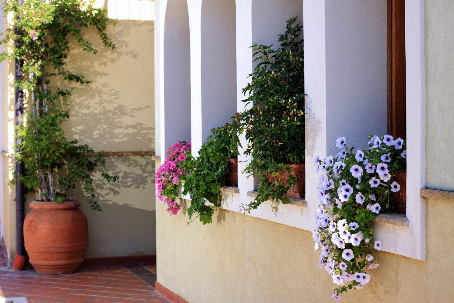 Hotel L'Ulivo Girasole Kültér fotó